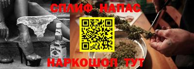 индика Обь