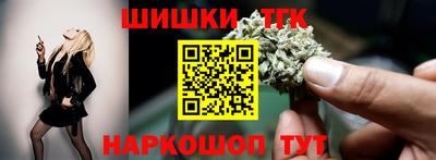 индика Обь
