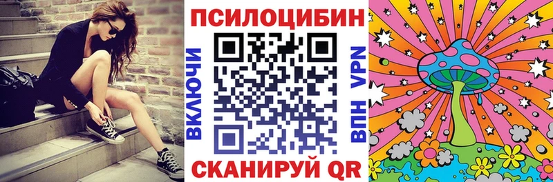 цены   Арзамас  Псилоцибиновые грибы Cubensis 