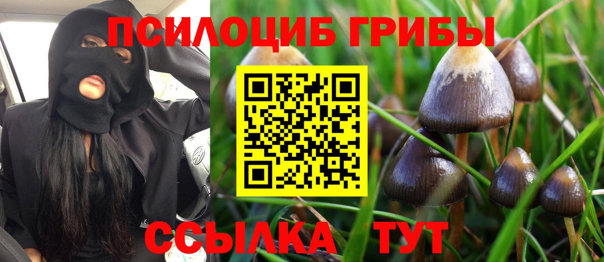 Галлюциногенные грибы мухоморы Арзамас