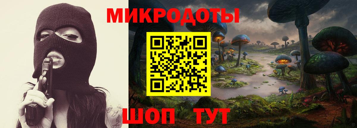 Псилоцибиновые грибы ЛСД  купить закладку  Арзамас  Вход с VPN 